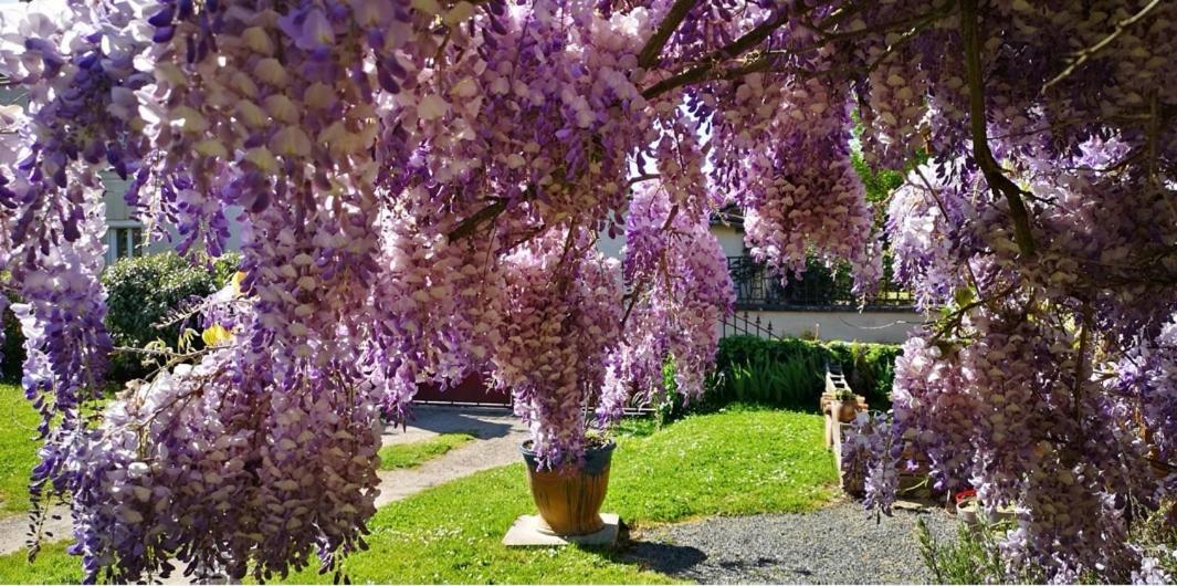 Apartamento La Ferme Du Grand Bois Mouterre-Silly Exterior foto