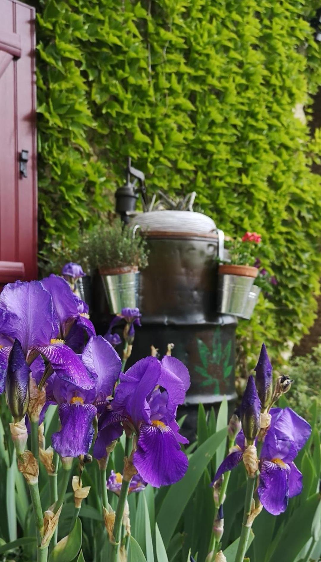 Apartamento La Ferme Du Grand Bois Mouterre-Silly Exterior foto